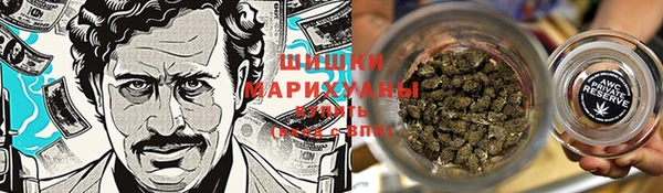 прущие грибы Белоозёрский