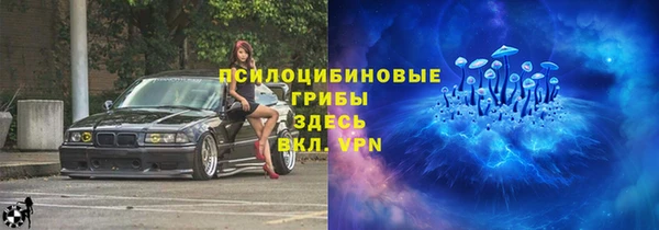 прущие грибы Белоозёрский