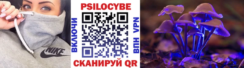 продажа наркотиков  Ахтырский  Псилоцибиновые грибы Magic Shrooms 